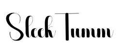 SleekTumm - logo
